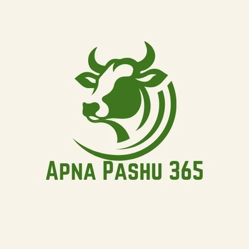365